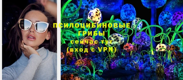 ешки Медвежьегорск