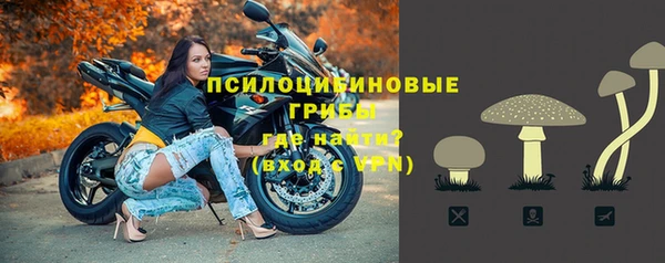 винт Мегион