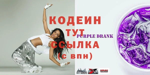 хмурый Арсеньев