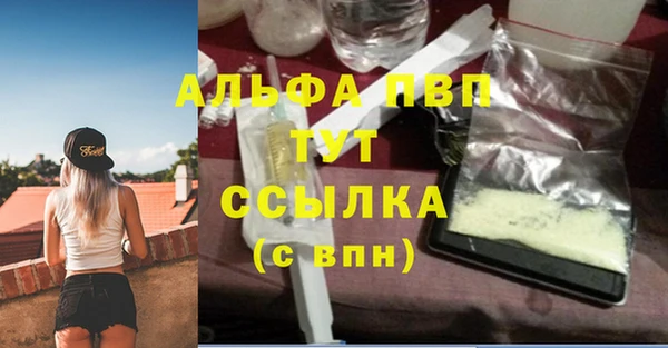 хмурый Арсеньев