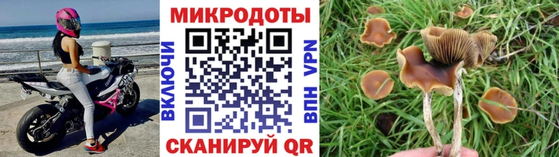 Галлюциногенные грибы Magic Shrooms  Александров 